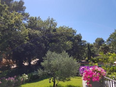 Cabane Dans Les Arbres "La Kaz Aux Cigales" Cuers Exterior foto