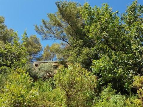 Cabane Dans Les Arbres "La Kaz Aux Cigales" Cuers Exterior foto