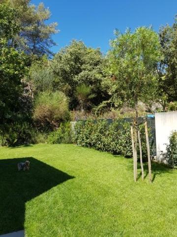 Cabane Dans Les Arbres "La Kaz Aux Cigales" Cuers Exterior foto