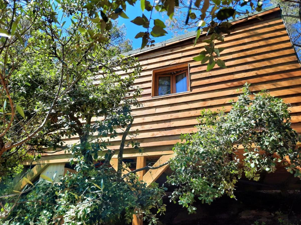 Cabane Dans Les Arbres "La Kaz Aux Cigales" Cuers Exterior foto
